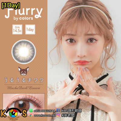 [1Day]Flurry Mocha Dark Brown フルーリー モカダークブラウン(うるうるチワワ)